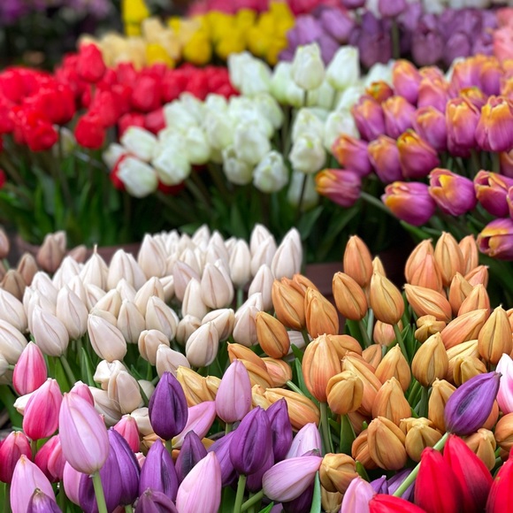 Meet your Posher, Kat - Picture 1 of 1